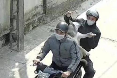 Hành động gây phẫn nộ giữa trưa của 2 thanh niên và cái kết khiến nhiều người hả hê