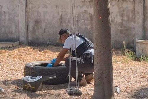Chó cưng mang món đồ lạ về nhà, người chủ 'tái mặt' sau khi kiểm tra