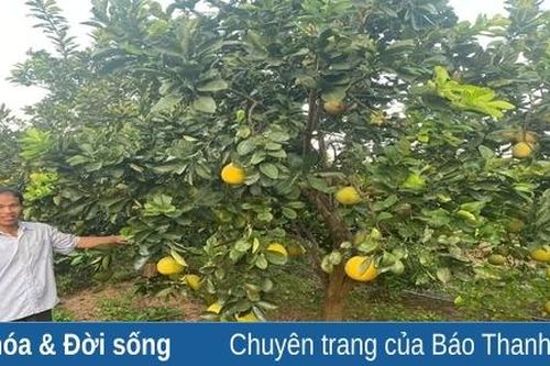 Trưởng thôn được người dân tin quý