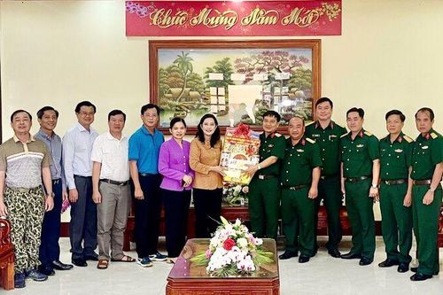 An Giang thăm, chúc Tết cán bộ, chiến sĩ Lữ đoàn 950