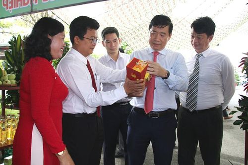 Tập trung phát triển Đề án tái cơ cấu nông nghiệp gắn với xây dựng nông thôn mới
