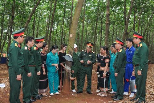 Binh đoàn 15 có nhu cầu tuyển dụng 1.489 người lao động tại Gia Lai