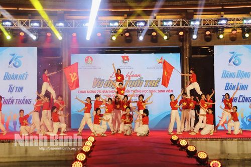 Liên hoan 'Vũ điệu tuổi trẻ' tỉnh Ninh Bình năm 2025