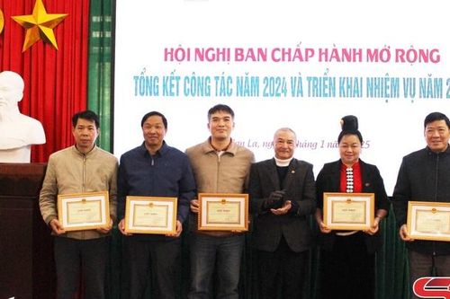 Củng cố tổ chức, phát triển đội ngũ văn nghệ sĩ