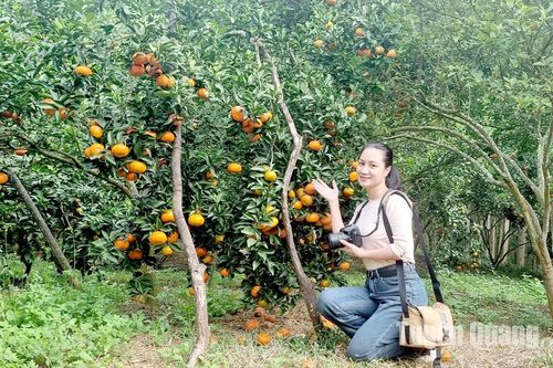 Những cảm xúc với nghề