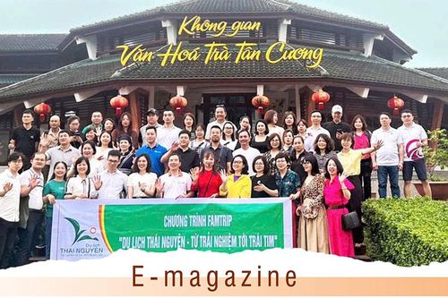 Bảo tàng trà trong lòng 'Đệ nhất danh trà'