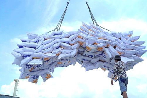 Vinafood 2 (VSF): Xuất khẩu gạo năm 2024 vượt xa kế hoạch, đặt mục tiêu lãi trăm tỷ