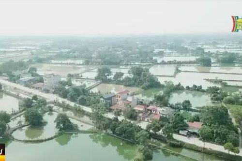 Gỡ nút thắt dự án đường trục phía nam Thủ đô