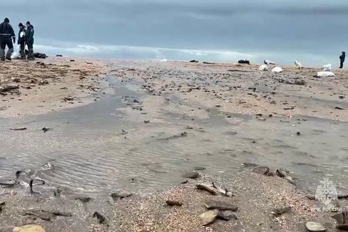 Tràn dầu trên biển Đen, Nga ban bố tình trạng khẩn cấp ở Crimea