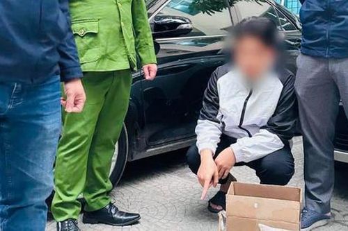 Công an Tây Hồ khởi tố đối tượng bán 30 cá thể rùa quý hiếm