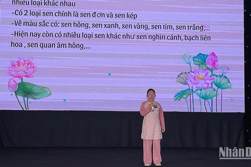 Gần 200 học sinh vào vòng bán kết cuộc thi 'Tìm kiếm Đại sứ văn hóa Việt Nam quốc tế'