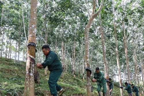 Thưởng công nhân, người lao động nhân dịp Tết Nguyên đán Ất Tỵ hơn 3,31 tỷ đồng