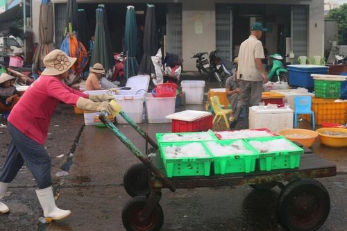 Những 'nữ phu cá' trên cảng Phan Thiết