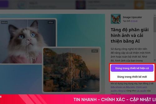 Sử dụng Canva AI giúp bạn thiết kế dễ dàng và thuận tiện