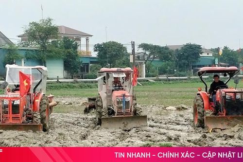 Cẩm Xuyên đẩy mạnh tích tụ, chuyển đổi ruộng đất