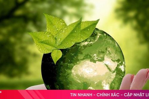 Môi trường là gì? Khám phá các biện pháp bảo vệ môi trường hiệu quả nhất
