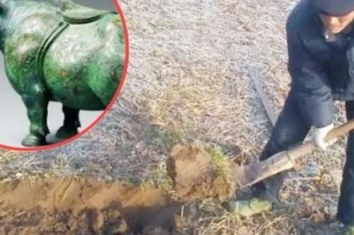 Nông dân đào được dị vật khi cuốc đất, chuyên gia định giá là báu vật nghìn tỉ