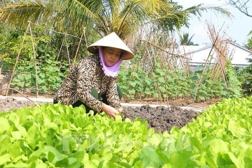 Phụ nữ dân tộc thiểu số Sóc Trăng thay đổi 'nếp nghĩ, cách làm'