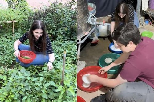 Dân mạng thích thú clip sinh viên Harvard về Việt Nam học rửa bát, vẩy rau