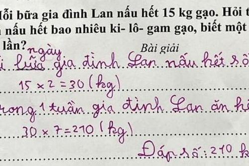 Bài toán 'mỗi bữa gia đình Lan nấu hết 15kg gạo' khiến dân mạng rôm rả bàn luận
