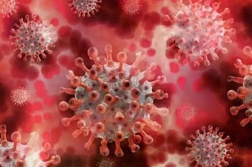 Ấn Độ ghi nhận ca nhiễm virus HMPV đầu tiên