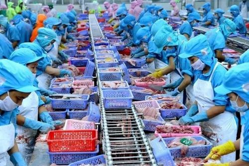 Năm 2024, xuất khẩu cá tra thu về 2 tỷ USD
