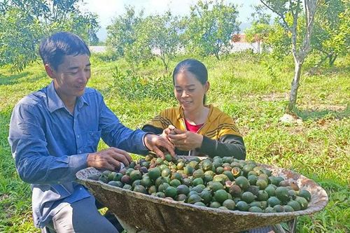 Thúc đẩy tinh thần khởi nghiệp, lập nghiệp