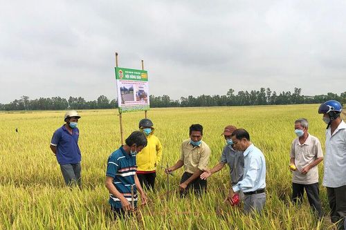 Tăng cường hỗ trợ vốn cho nông dân