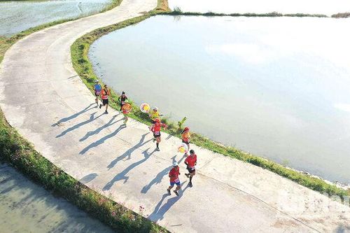 Ấn tượng Giải 'Nông Thôn Việt Half Marathon 2025 Tri Tôn- Về vùng huyền tích'