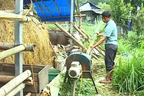 Hiệu quả kinh tế từ chính sách chi trả DVMTR