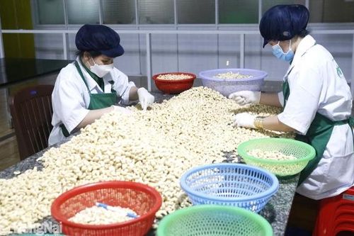 Kỷ niệm 50 năm Chiến thắng Phước Long (6-1-1975 - 6-1-2025) Chiến thắng Phước Long mở màn cho đại thắng mùa Xuân 1975
