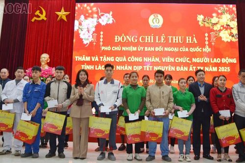 Phó Chủ nhiệm Ủy ban Đối ngoại của Quốc hội thăm và tặng quà tết công nhân, viên chức, người lao động