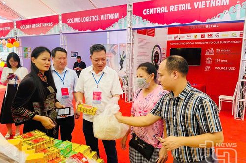 Nỗ lực đưa chè trở thành cây 'tỷ đô'