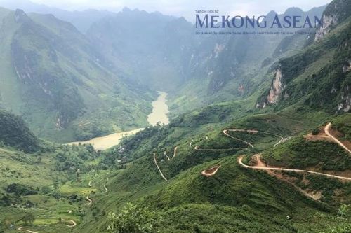 Nông nghiệp năm 2024: Sản xuất tăng trưởng đều cả 3 lĩnh vực