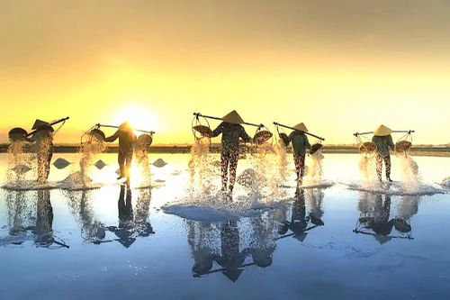 Du lịch Việt Nam 2024: Tăng trưởng ấn tượng