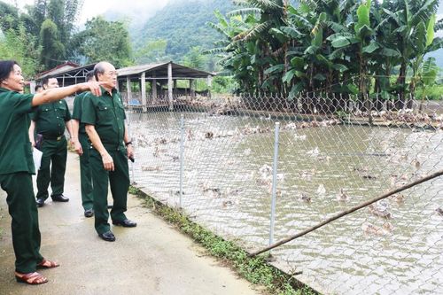 Lan tỏa phong trào thi đua yêu nước trong cựu chiến binh