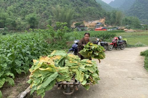Đòn bẩy thúc đẩy kinh tế tăng trưởng