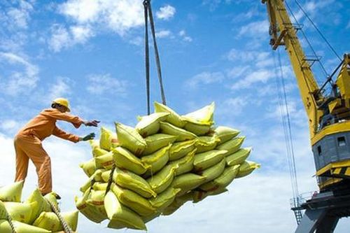 Bổ sung nhiều quy định mới về kinh doanh xuất khẩu gạo