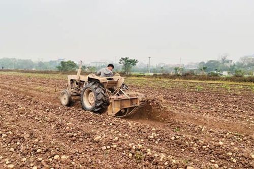 Nhiều lợi ích từ đồng bộ cơ giới hóa sản xuất nông nghiệp
