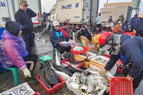 Hà Tĩnh: khai thác hiệu quả nguồn lợi kinh tế biển