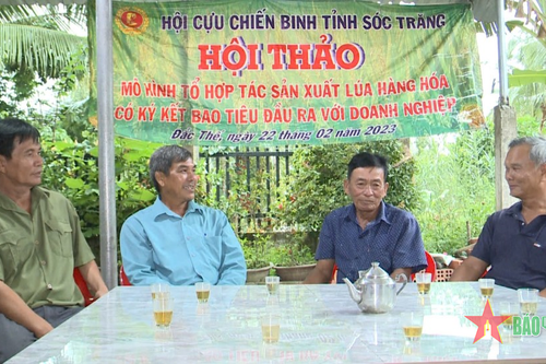 Cựu chiến binh làm kinh tế giỏi