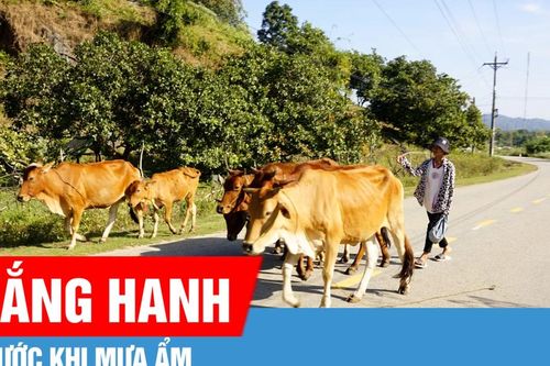 Bắc bộ và Bắc Trung bộ nắng hanh trước khi mưa ẩm