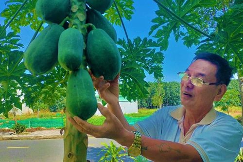 Cuộc sống mới ở khu tái định cư sân bay Long Thành