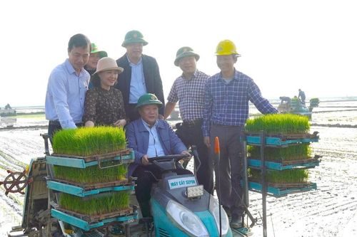 Nông dân Quảng Trị cấy lúa không cần bước chân xuống ruộng