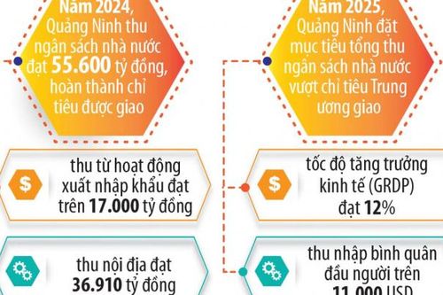 Tốc độ tăng trưởng kinh tế năm 2024 của Quảng Ninh đứng thứ 20 cả nước