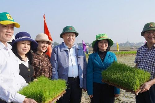 Quyền Chủ tịch UBND tỉnh Quảng Trị Hà Sỹ Đồng kiểm tra sản xuất đầu vụ Đông Xuân