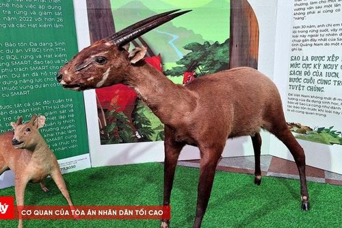 Thành lập khu dự trữ thiên nhiên Sao La hơn 19.300 ha