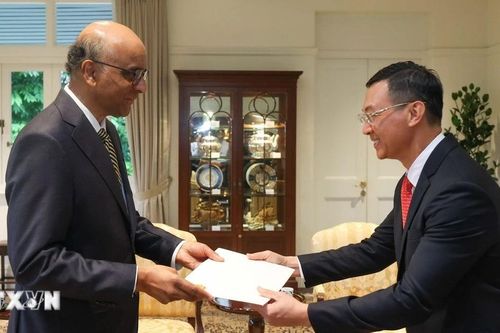 Singapore muốn thúc đẩy hợp tác với Việt Nam trong các lĩnh vực nhiều tiềm năng