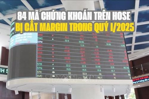 84 mã chứng khoán trên HoSE bị cắt margin trong quý I/2025