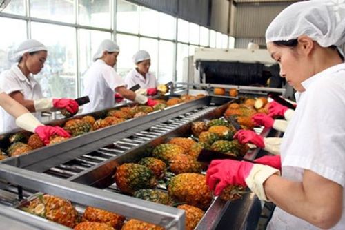 7 nhiệm vụ đưa xuất khẩu rau, quả đạt 10 tỷ USD